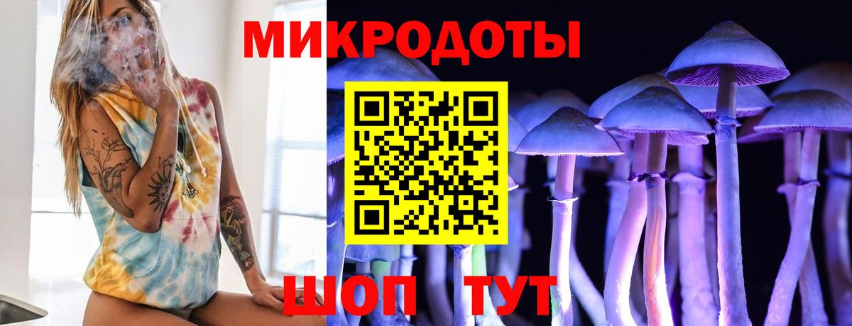 Унеча  Псилоцибиновые грибы мухоморы  Вход с VPN 